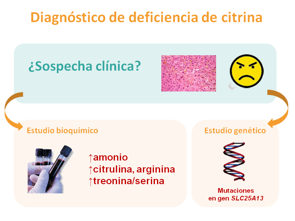 Diagnóstico de la deficiencia de citrina