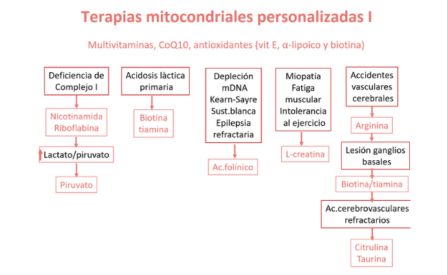 Terapias mitocondriales personalizadas Guía Metabólica Hospital Sant Joan de Déu Barcelona